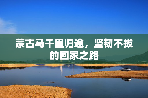 蒙古马千里归途，坚韧不拔的回家之路