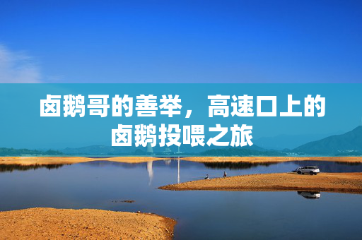 卤鹅哥的善举，高速口上的卤鹅投喂之旅