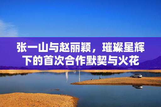 张一山与赵丽颖，璀璨星辉下的首次合作默契与火花