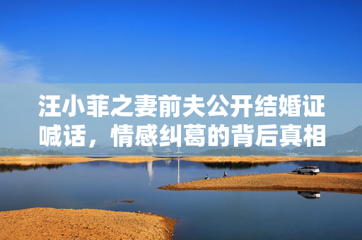汪小菲之妻前夫公开结婚证喊话，情感纠葛的背后真相