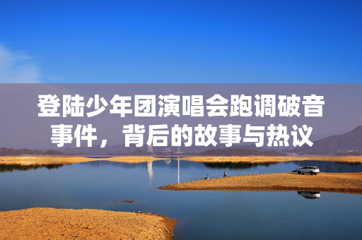 登陆少年团演唱会跑调破音事件，背后的故事与热议