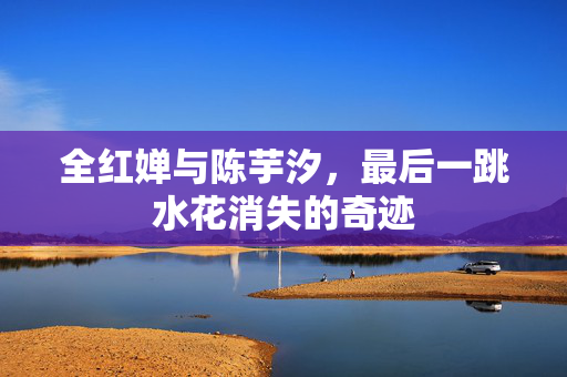 全红婵与陈芋汐，最后一跳水花消失的奇迹