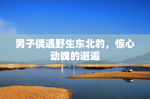 男子偶遇野生东北豹，惊心动魄的邂逅
