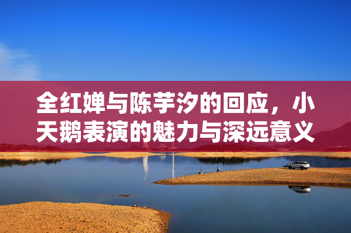 全红婵与陈芋汐的回应，小天鹅表演的魅力与深远意义