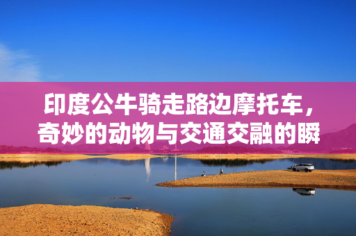 印度公牛骑走路边摩托车，奇妙的动物与交通交融的瞬间