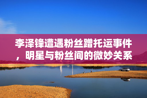 李泽锋遭遇粉丝蹭托运事件，明星与粉丝间的微妙关系揭秘。